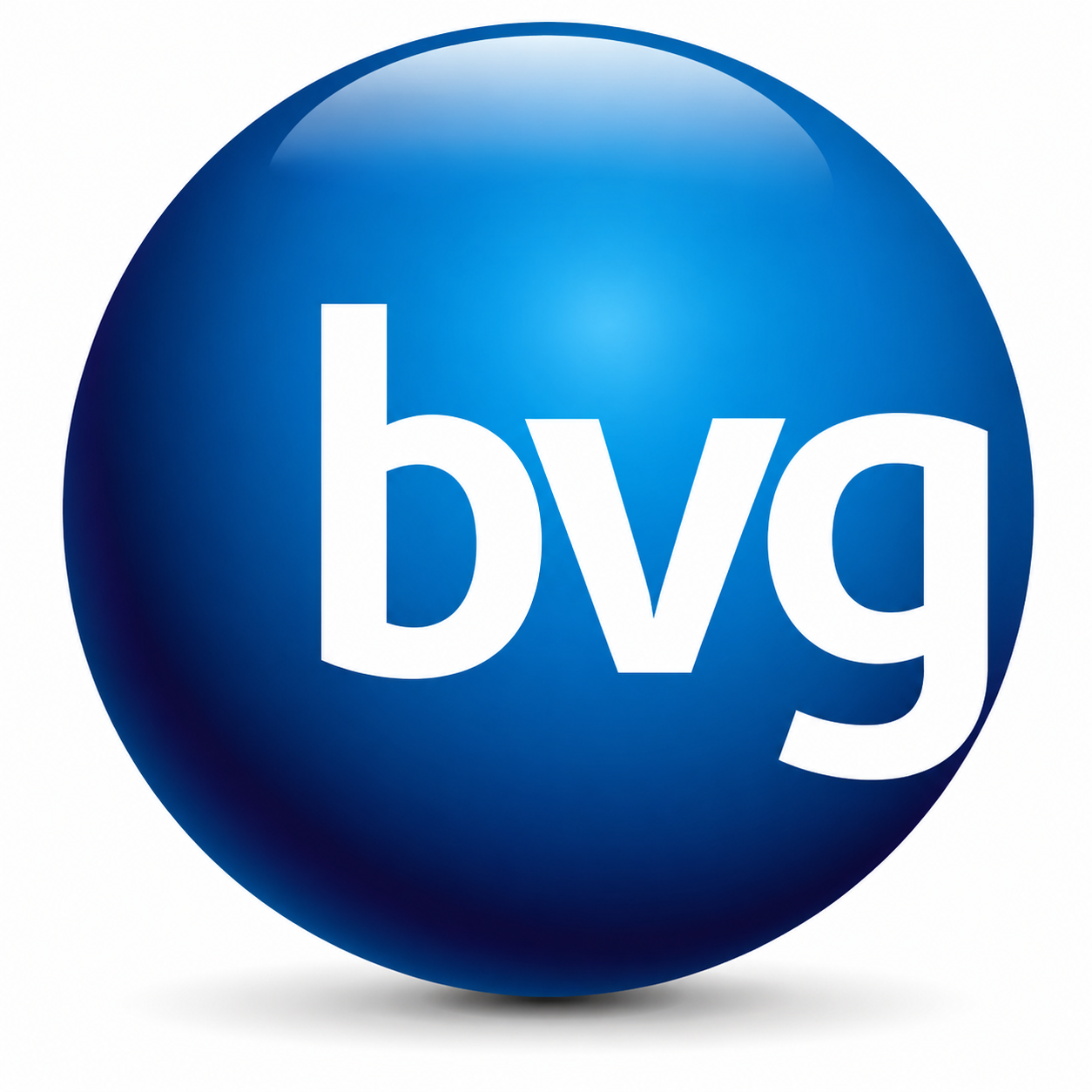 Bvg India Ltd Logo